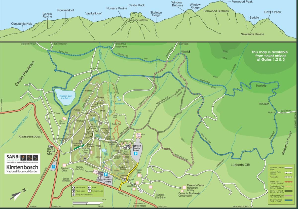 kirstenbosch botanical gardens kart
